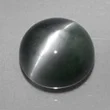 Cat's Eye