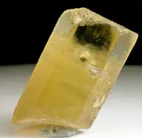 Golden Beryl