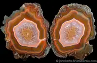 Sliced Condor Agate Nodule