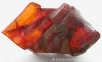 Orange-Red Amber with Insects