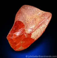Amber with Cut Section