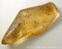 Yellow Amber with Insects