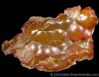 Botryoidal Carnelian