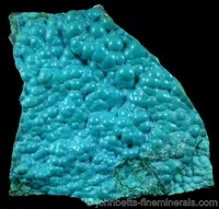 Botryoidal Blue Chrysocolla
