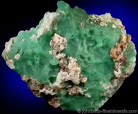 Chrysoprase from Australia