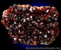 Deeply Colored Citrine Plate