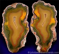 Sliced Condor Agate Nodule Matched Halves