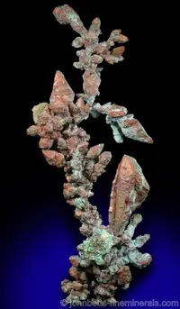 Dendritic Copper Growths
