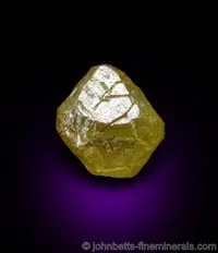 Yellow Diamond