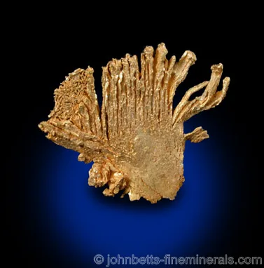 Fan Shaped Gold Formation