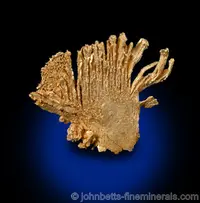 Fan Shaped Gold Formation