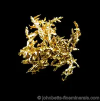 Branching Wire Gold