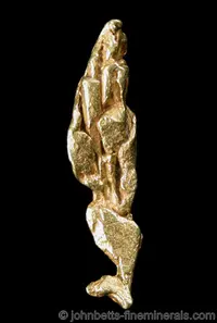 Elongated Gold