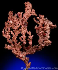 Crystallized Copper Dendrite