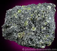 Peridot in Volcanic Rock