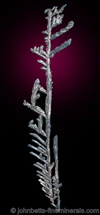 Branching Silver Crystals