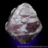 Purple Spinel