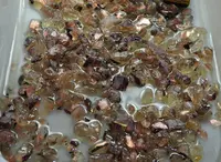 Lot of Polished Sunstone