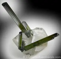 Green Tourmaline in Quartz
