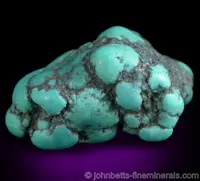 Turquoise with Black Veining