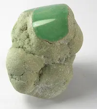 Polished Variscite Nodule