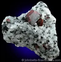 Zircon Crystal in Matrix