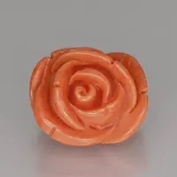 Orange Coral Rose