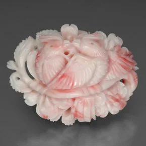 Pink & White Coral Bird
