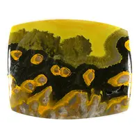 Yellow, Orange, & Brown Jasper