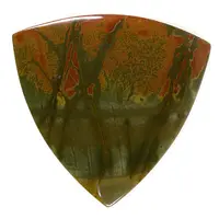 Jasper Trillion Cabochon