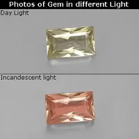 Green / Pink Diaspore