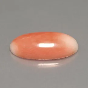 Salmon and White Coral