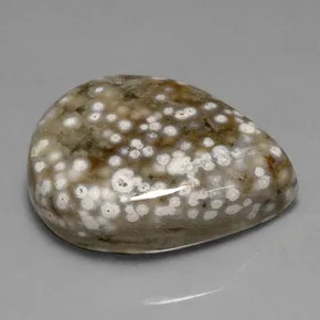 White Spotted Orbicular Jasper