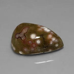 Greenish Orbicular Jasper