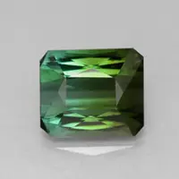 Mutlicolored Green/Blue Tourmaline