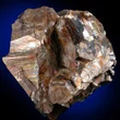 Phlogopite