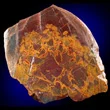 Jasper