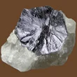 Molybdenite