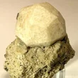 Leucite