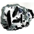 Neptunite