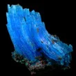 Chalcanthite