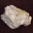 Albite