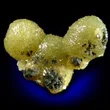Paradamite