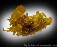 Lustrous Mimetite Crystals
