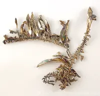 Dendritic Silver Growth