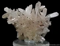 Reticulated Cerussite "Snowflake"
