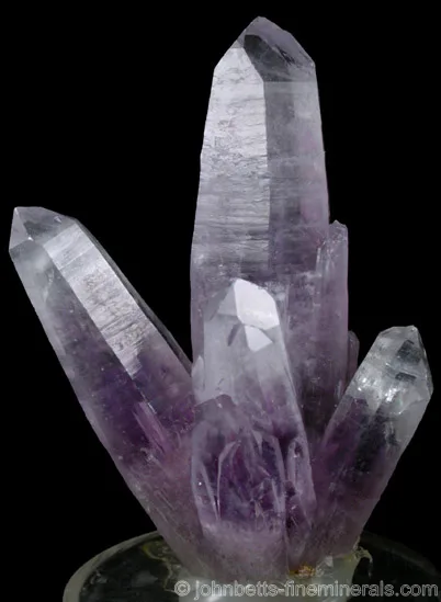 Elongated Amethyst Cluster