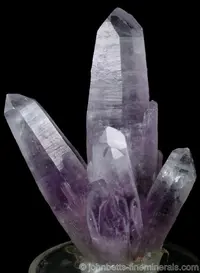 Elongated Amethyst Cluster
