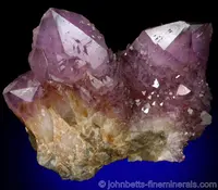 Amethyst 'Cactus Quartz'