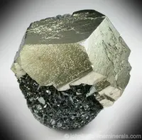 Classic Pyrite from Elba